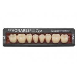 Dinti Phonares Nhc Typ Posterior Nl3 A2 Ivoclar