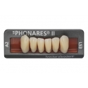 Dinti Phonares Nhc Anterior L51 A2 Ivoclar