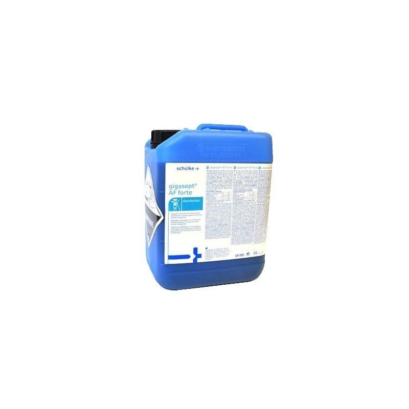 Dezinfectant Gigasept AF Forte 5l Schulke