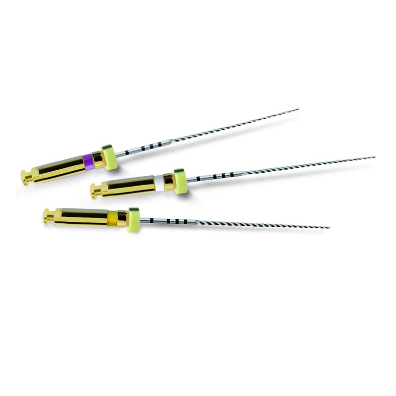 Ace PathFile 31mm Dentsply