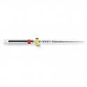 Ace ProFile.04 RA 21mm Dentsply