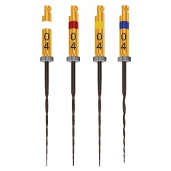 Ace rotative HyFlex CM NiTi .04 21mm Coltene Whaledent