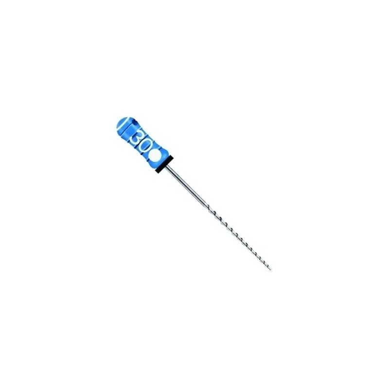 Ace H-files 21mm Dentsply