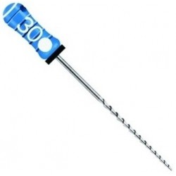 Ace H-files 31mm Dentsply
