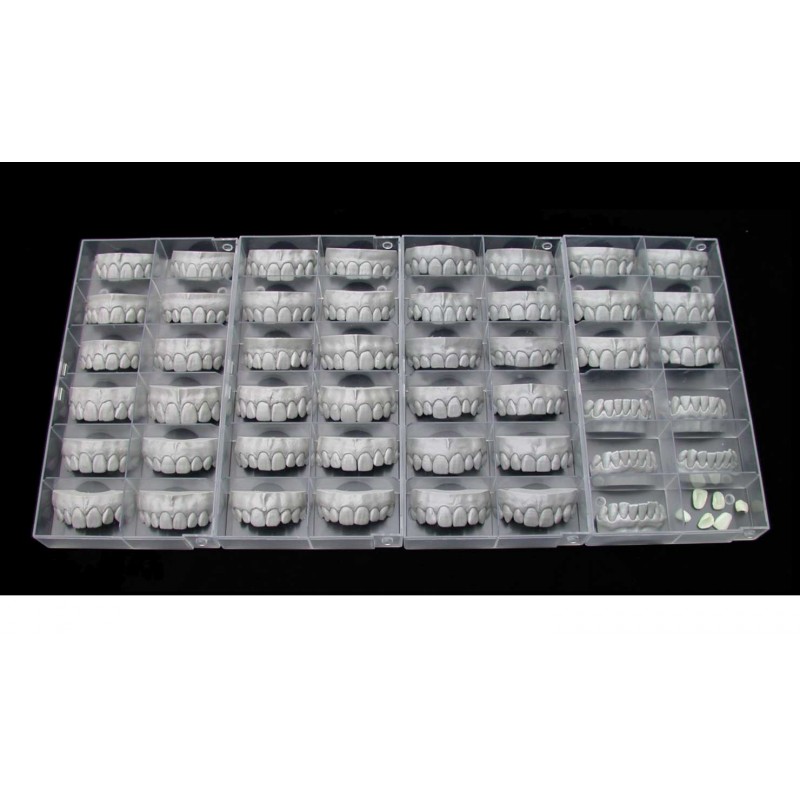 Modul exocad Tooth Library