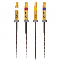 Ace rotative HyFlex CM NiTi .06 25mm Coltene Whaledent