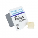 Protemp Crown Premolar Lower (5buc)
