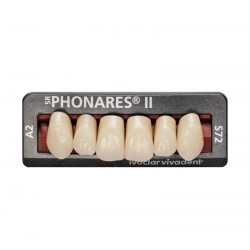 Dinti Phonares Ii Anterior Set 6