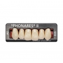 Dinti Phonares Ii Anterior Set 6
