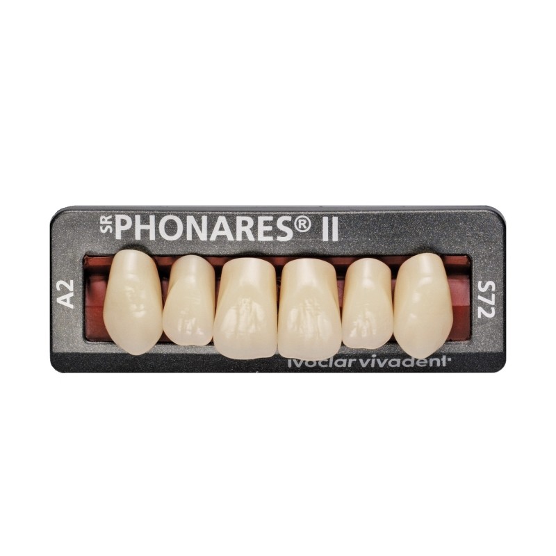 Dinti Phonares Ii Anterior Set 6