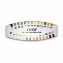 CZR FC P-STAIN COLOR GUIDE