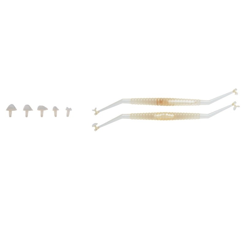 SeptoMatrix Cervical Transparent Kit 2 instrumente+10 matrici
