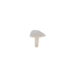 SeptoMatrix Cervical Transparent Medium 50 matrici Septodont