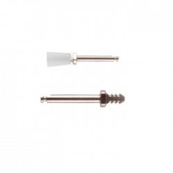 SeptoPolisher Refill Cupa 8buc+1 mandrina 