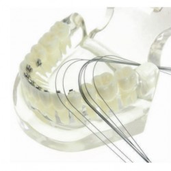 Arcuri Ni-ti Linguale 2 buc.016