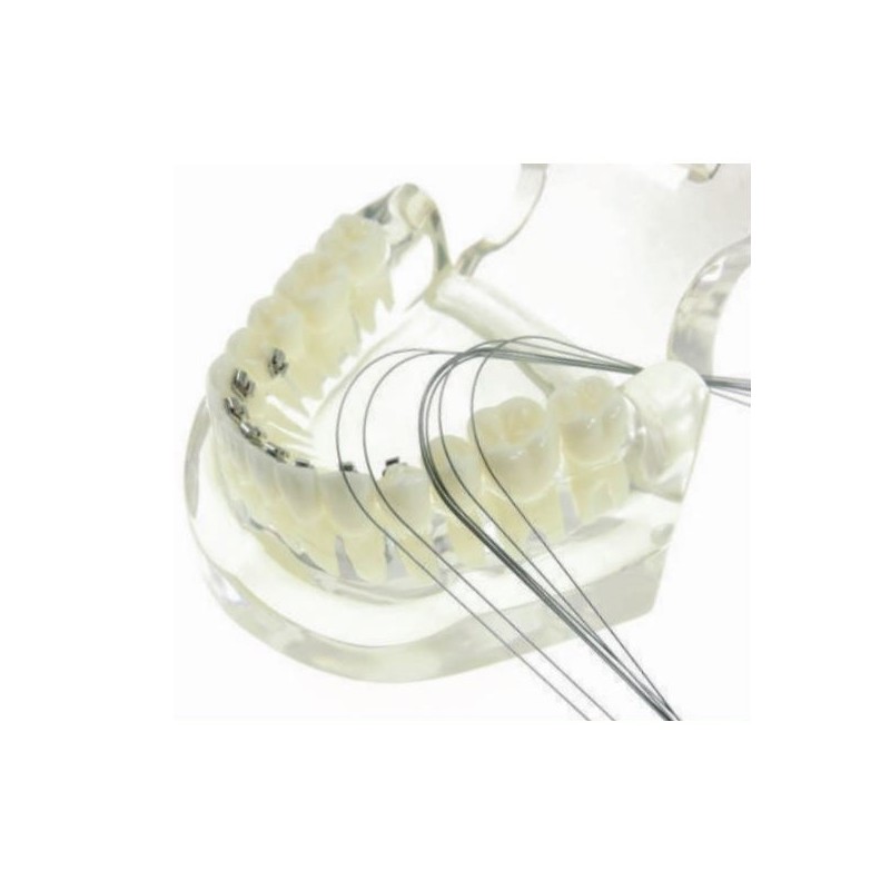 Arcuri Ni-ti Linguale 2 buc.016