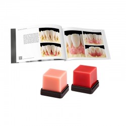 GEO Expert Gingiva Set A. Bruguera