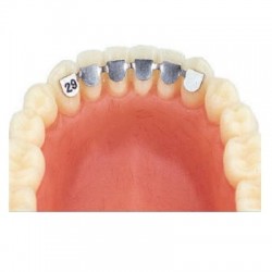 Retainer inferior de la canin la canin 35mm 2buc