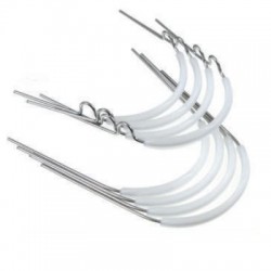 Bara linguala fara anse Leone