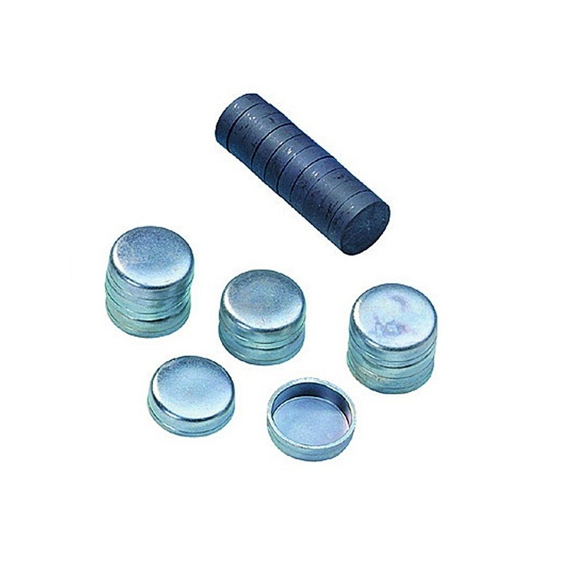 Pin Cast Magnet + Suport Renfert