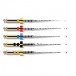 Protaper Next készlet Válogatott Válogatott 6 tű X1-X3 31mm Dentsply