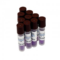 4A Medical 24 órás gőzsterilizálás biológiai indikátor