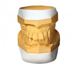 Gips artikulátor SheraArti white 20kg Shera