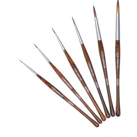 Set Pensule Ceramicus Renfert