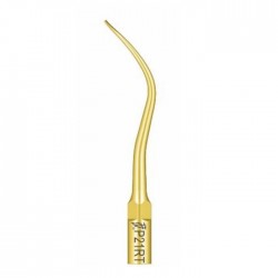 P21RT Woodpecker P21RT Woodpecker P21RT Woodpecker