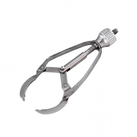 Portmatrice Ivory Dr. Protect