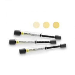 Brilliant Everglow Set 3 Seringi Coltene