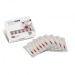 GuttaCore Dentsply obturátor