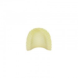 Aranyozott háló Song Young