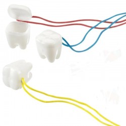 Tribest fogdoboz színes csigával