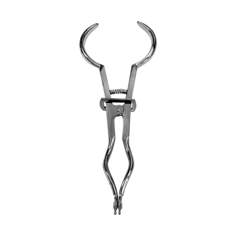 Cleste cleme diga Brewer 17cm Medenta