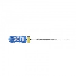 Ace NiTiFlex 25mm Dentsply Dentsply
