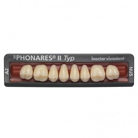 Dinti posteriori Phonares II Typ Set 8 bucati LNL3 Ivoclar