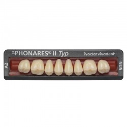 Dinti posteriori Phonares II Typ Set 8 bucati LNL5 Ivoclar