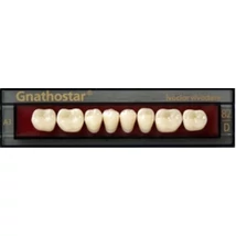 Gnathostar Vita  A-D alsó rágó 8db  A1 D80