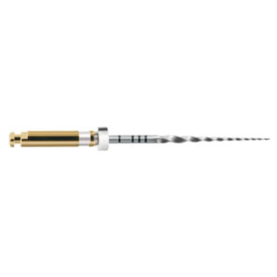 ProTaper Shaping File 21mm S2 6db