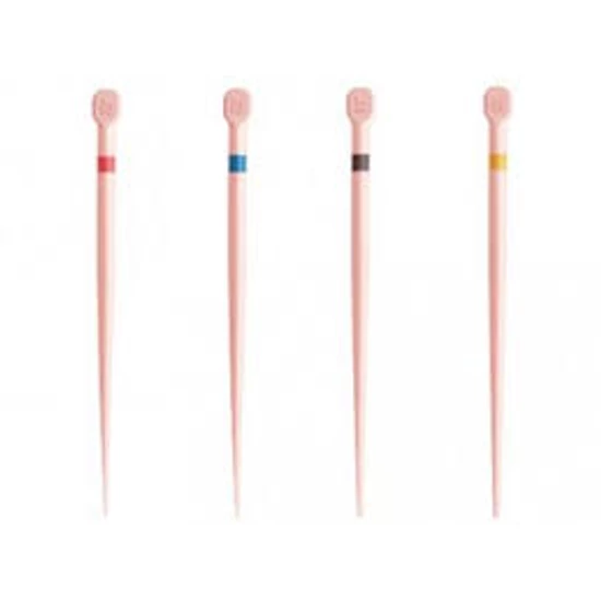 ProTaper NEXT Conform Fit Guttapercha X2 60db