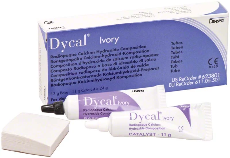 Dycal Ivory 13g+11g (lila)