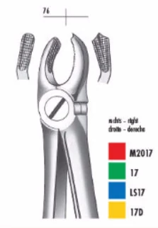 Fogó felső moláris jobb