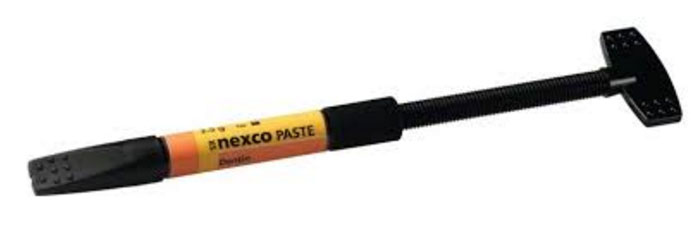 SR Nexco Paste Dentin 2.5 g A1